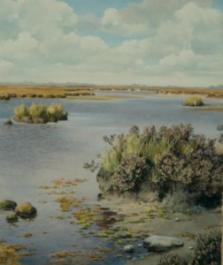 Waar wij wonen Heideplas bij Dwingelo