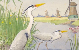 Lezing Eva Vriend De Waterzoon
